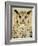 Stoic Owl-Z Studio-Framed Art Print