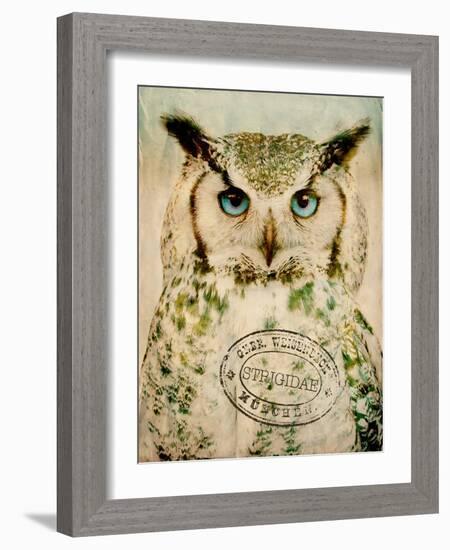 Stoic Owl-Z Studio-Framed Art Print