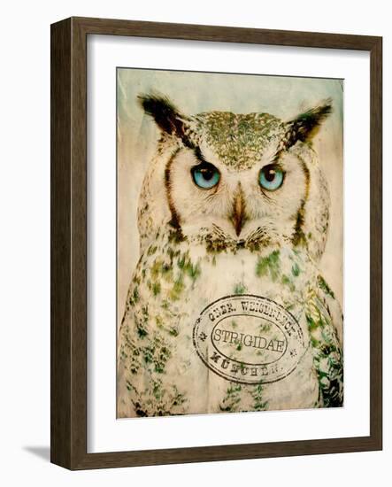 Stoic Owl-Z Studio-Framed Art Print