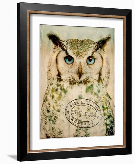 Stoic Owl-Z Studio-Framed Art Print