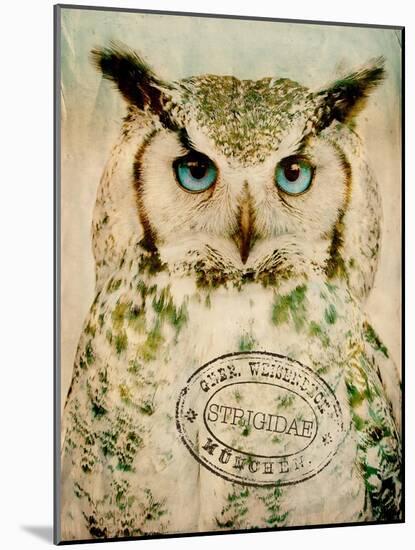 Stoic Owl-Z Studio-Mounted Art Print