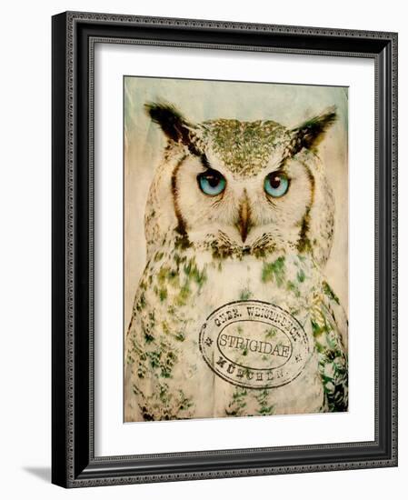 Stoic Owl-Z Studio-Framed Art Print