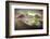 Stokksnes Nights-Philippe Manguin-Framed Photographic Print