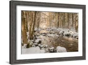 Stolen Beauty-Philippe Sainte-Laudy-Framed Photographic Print
