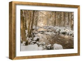 Stolen Beauty-Philippe Sainte-Laudy-Framed Photographic Print