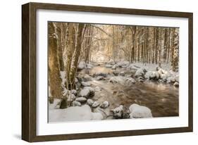 Stolen Beauty-Philippe Sainte-Laudy-Framed Photographic Print