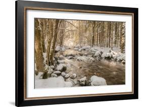 Stolen Beauty-Philippe Sainte-Laudy-Framed Photographic Print