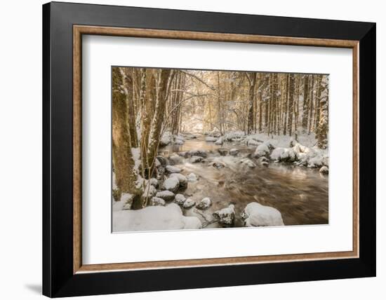 Stolen Beauty-Philippe Sainte-Laudy-Framed Premium Photographic Print