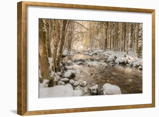 Stolen Beauty-Philippe Sainte-Laudy-Framed Premium Photographic Print