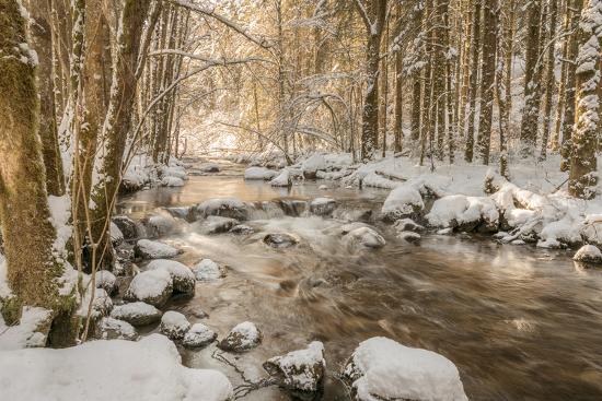 Stolen Beauty Photographic Print Philippe Sainte Laudy Art Com