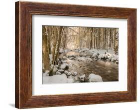 Stolen Beauty-Philippe Sainte-Laudy-Framed Photographic Print