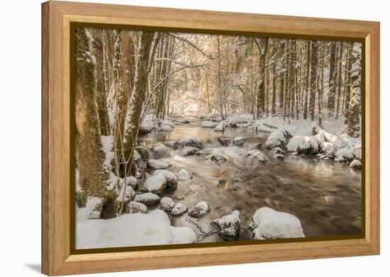 Stolen Beauty-Philippe Sainte-Laudy-Framed Premier Image Canvas