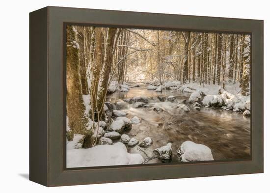 Stolen Beauty-Philippe Sainte-Laudy-Framed Premier Image Canvas