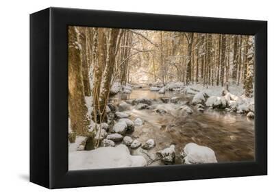 Stolen Beauty Photographic Print Philippe Sainte Laudy Art Com