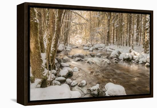 Stolen Beauty-Philippe Sainte-Laudy-Framed Premier Image Canvas