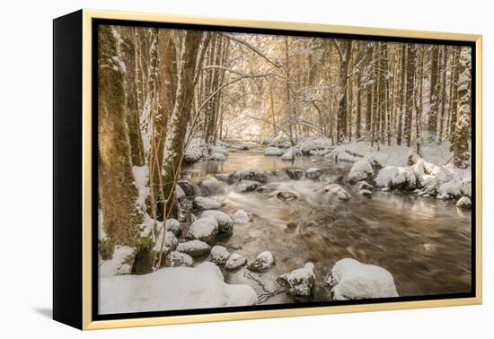 Stolen Beauty-Philippe Sainte-Laudy-Framed Premier Image Canvas