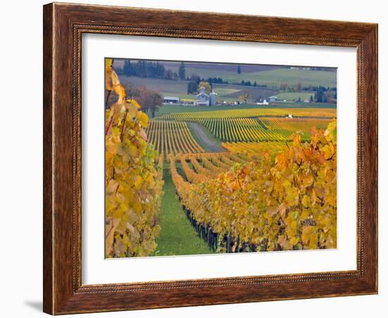 Stoller Vineyard, Dundee, Yamhill County, Willamette Valley, Oregon, Usa-Janis Miglavs-Framed Photographic Print