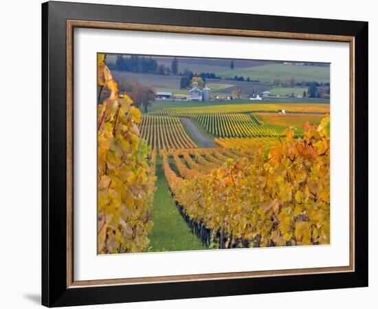 Stoller Vineyard, Dundee, Yamhill County, Willamette Valley, Oregon, Usa-Janis Miglavs-Framed Photographic Print