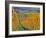 Stoller Vineyard, Dundee, Yamhill County, Willamette Valley, Oregon, Usa-Janis Miglavs-Framed Photographic Print