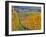 Stoller Vineyard, Dundee, Yamhill County, Willamette Valley, Oregon, Usa-Janis Miglavs-Framed Photographic Print