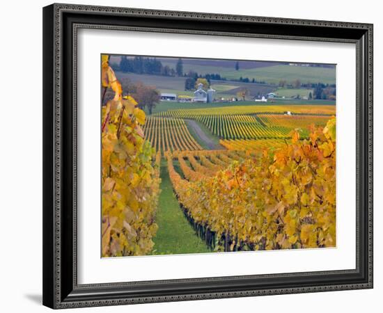Stoller Vineyard, Dundee, Yamhill County, Willamette Valley, Oregon, Usa-Janis Miglavs-Framed Photographic Print