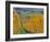 Stoller Vineyard, Dundee, Yamhill County, Willamette Valley, Oregon, Usa-Janis Miglavs-Framed Photographic Print