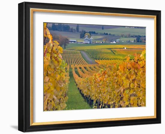 Stoller Vineyard, Dundee, Yamhill County, Willamette Valley, Oregon, Usa-Janis Miglavs-Framed Photographic Print