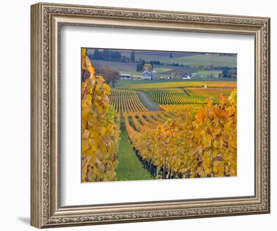 Stoller Vineyard, Dundee, Yamhill County, Willamette Valley, Oregon, Usa-Janis Miglavs-Framed Photographic Print