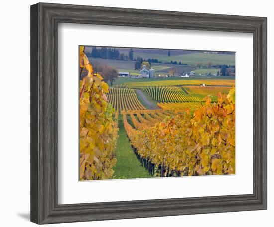 Stoller Vineyard, Dundee, Yamhill County, Willamette Valley, Oregon, Usa-Janis Miglavs-Framed Photographic Print