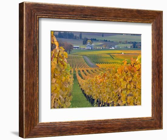 Stoller Vineyard, Dundee, Yamhill County, Willamette Valley, Oregon, Usa-Janis Miglavs-Framed Photographic Print