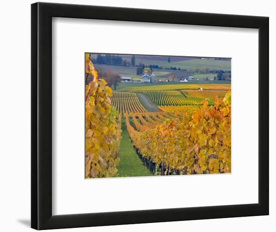 Stoller Vineyard, Dundee, Yamhill County, Willamette Valley, Oregon, Usa-Janis Miglavs-Framed Photographic Print