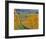 Stoller Vineyard, Dundee, Yamhill County, Willamette Valley, Oregon, Usa-Janis Miglavs-Framed Photographic Print