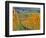 Stoller Vineyard, Dundee, Yamhill County, Willamette Valley, Oregon, Usa-Janis Miglavs-Framed Photographic Print