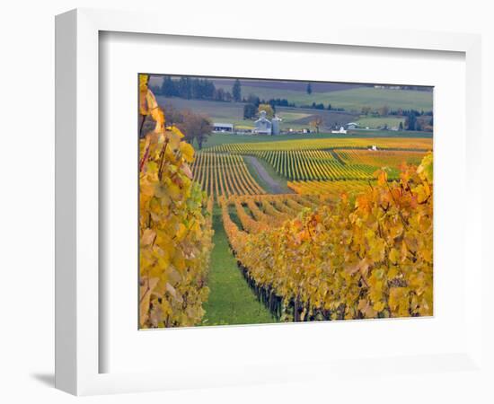 Stoller Vineyard, Dundee, Yamhill County, Willamette Valley, Oregon, Usa-Janis Miglavs-Framed Photographic Print