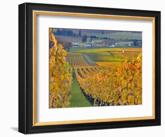 Stoller Vineyard, Dundee, Yamhill County, Willamette Valley, Oregon, Usa-Janis Miglavs-Framed Photographic Print