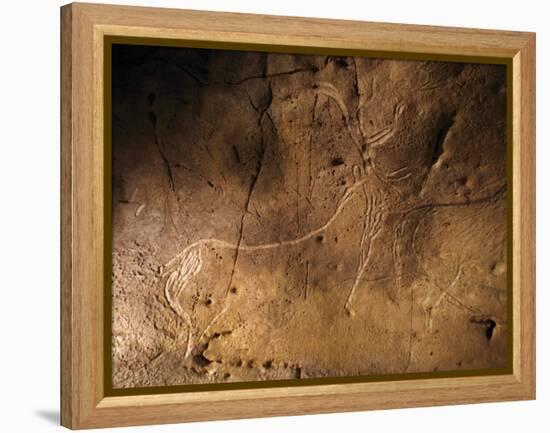 Stone-age Cave Art, Asturias, Spain-Javier Trueba-Framed Premier Image Canvas