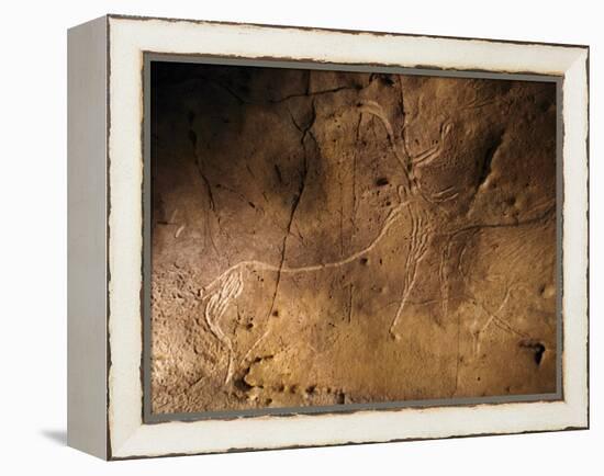 Stone-age Cave Art, Asturias, Spain-Javier Trueba-Framed Premier Image Canvas