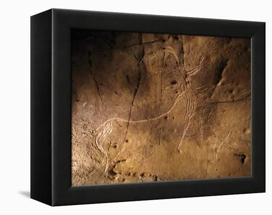 Stone-age Cave Art, Asturias, Spain-Javier Trueba-Framed Premier Image Canvas