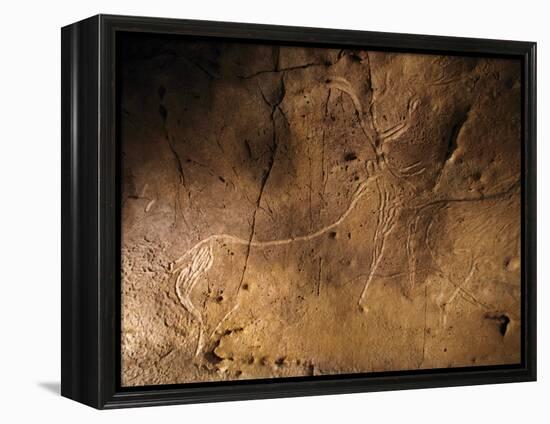 Stone-age Cave Art, Asturias, Spain-Javier Trueba-Framed Premier Image Canvas