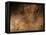 Stone-age Cave Art, Asturias, Spain-Javier Trueba-Framed Premier Image Canvas