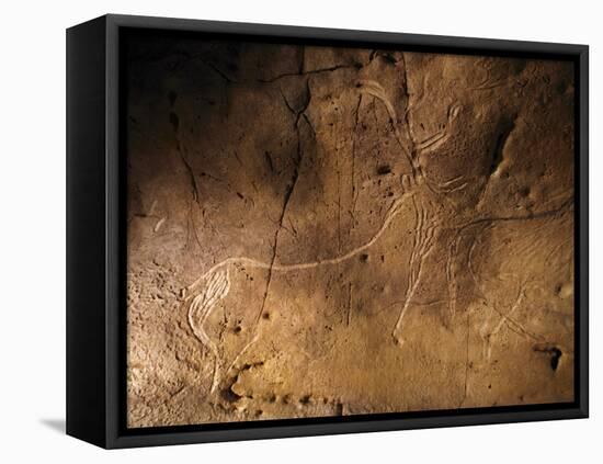 Stone-age Cave Art, Asturias, Spain-Javier Trueba-Framed Premier Image Canvas