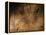 Stone-age Cave Art, Asturias, Spain-Javier Trueba-Framed Premier Image Canvas