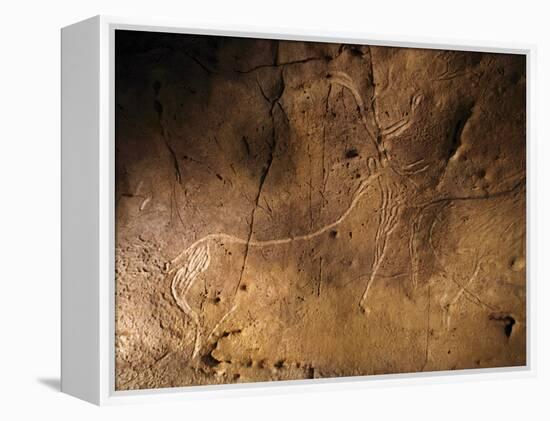 Stone-age Cave Art, Asturias, Spain-Javier Trueba-Framed Premier Image Canvas