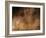 Stone-age Cave Art, Asturias, Spain-Javier Trueba-Framed Photographic Print