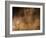 Stone-age Cave Art, Asturias, Spain-Javier Trueba-Framed Photographic Print