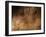 Stone-age Cave Art, Asturias, Spain-Javier Trueba-Framed Photographic Print