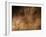 Stone-age Cave Art, Asturias, Spain-Javier Trueba-Framed Photographic Print