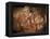 Stone-age Cave Paintings, Asturias, Spain-Javier Trueba-Framed Premier Image Canvas