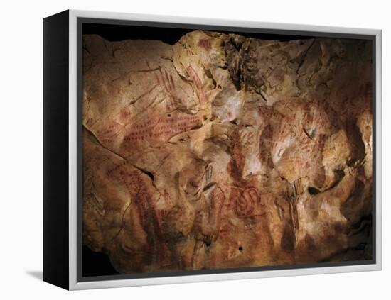 Stone-age Cave Paintings, Asturias, Spain-Javier Trueba-Framed Premier Image Canvas