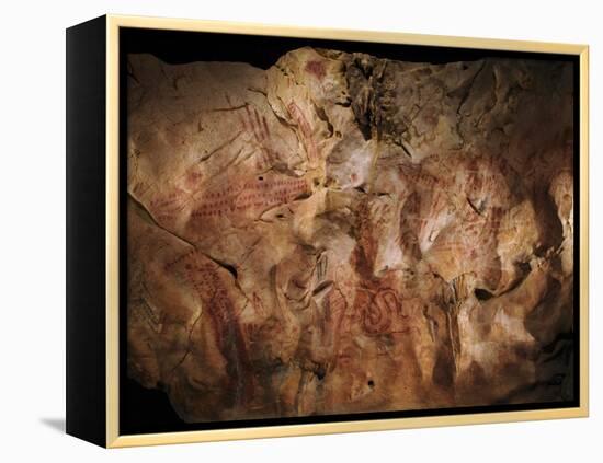 Stone-age Cave Paintings, Asturias, Spain-Javier Trueba-Framed Premier Image Canvas